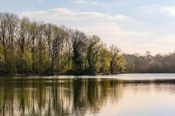 Horcott Lakes Fishery